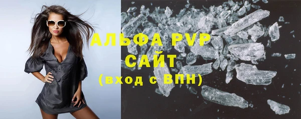 спиды Богородицк