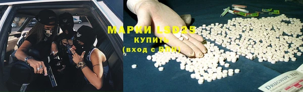 спиды Богородицк