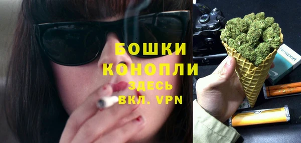 спиды Богородицк