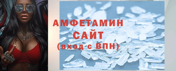 спиды Богородицк