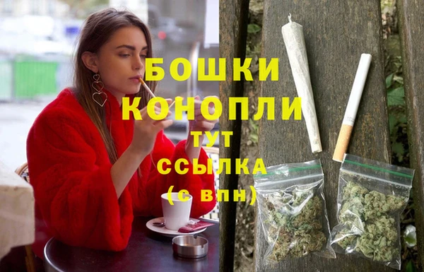 спиды Богородицк