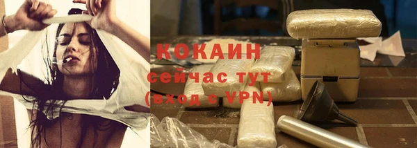 спиды Богородицк