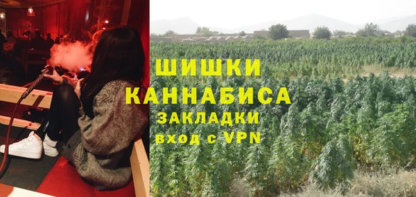 Альфа ПВП Богородск
