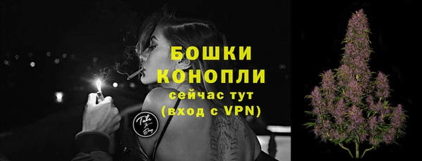 Альфа ПВП Богородск