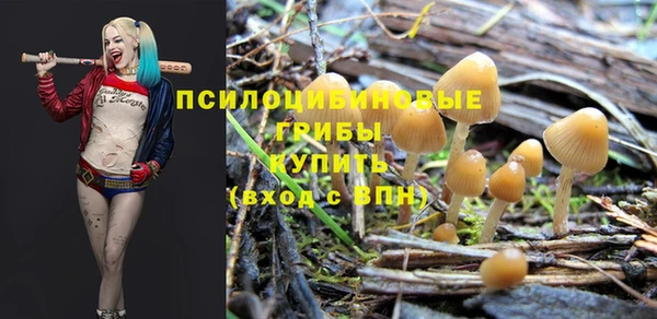 спиды Богородицк