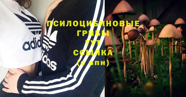 марки lsd Богданович