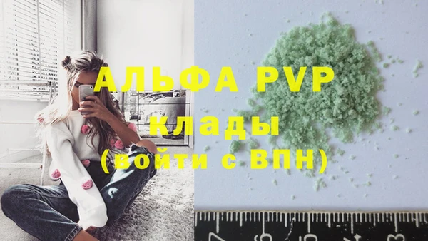 спиды Богородицк