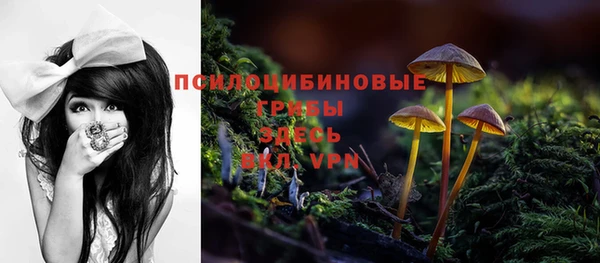 спиды Богородицк