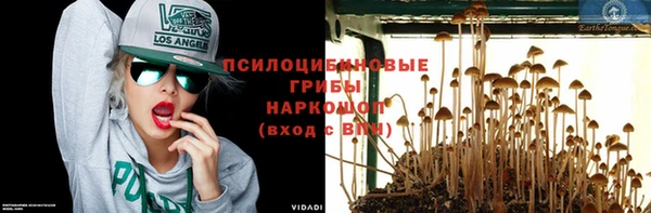 спиды Богородицк